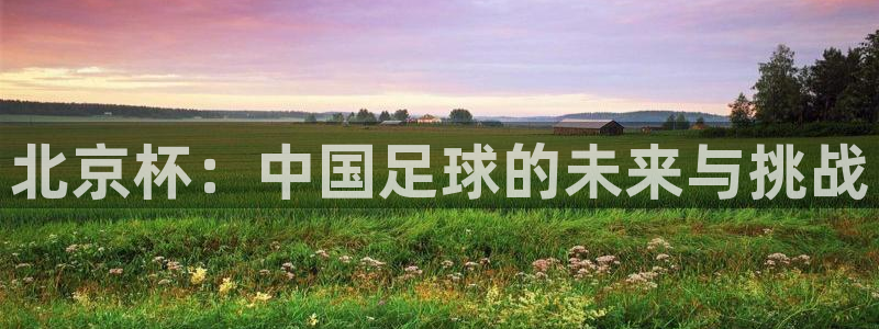 北京杯：中国足球的未来与挑战