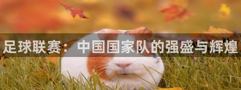 足球联赛：中国国家队的强盛与辉煌