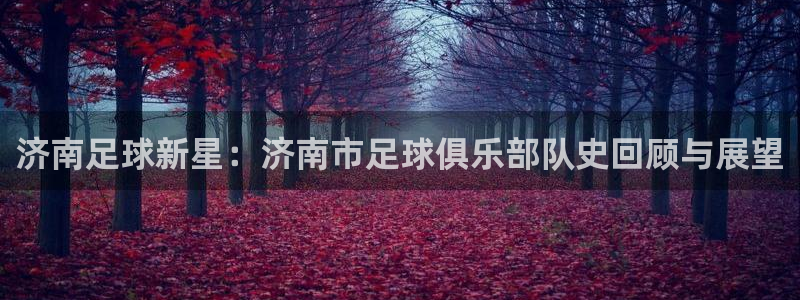  济南足球新星：济南市足球俱乐部队史回顾与展望