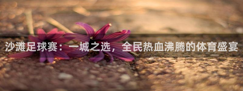  沙滩足球赛：一城之选，全民热血沸腾的体育盛宴