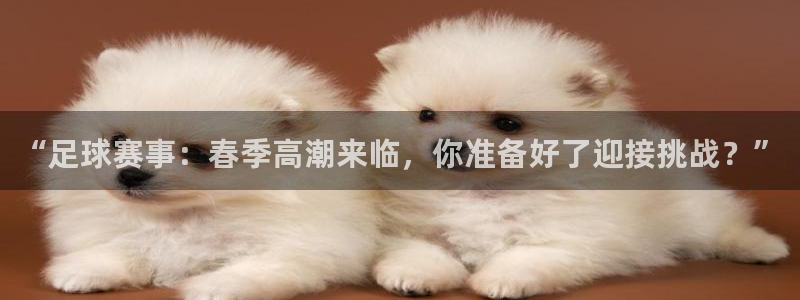  “足球赛事：春季高潮来临，你准备好了迎接挑战？”