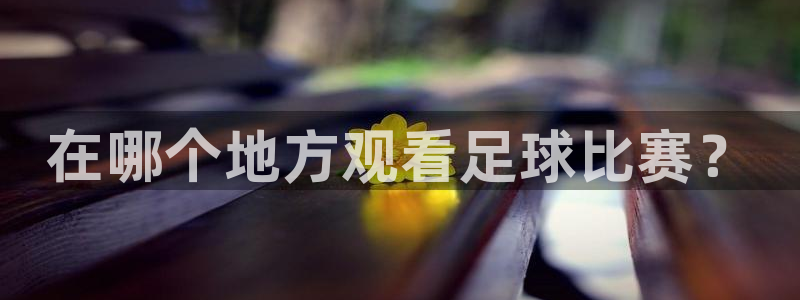 在哪个地方观看足球比赛？