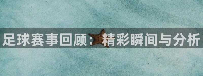  足球赛事回顾：精彩瞬间与分析