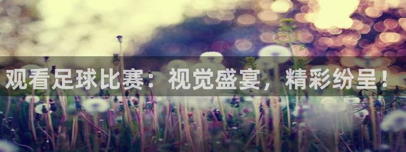 观看足球比赛：视觉盛宴，精彩纷呈！