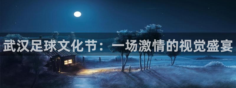 武汉足球文化节：一场激情的视觉盛宴