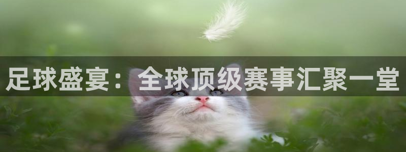  足球盛宴：全球顶级赛事汇聚一堂