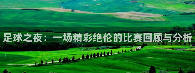 足球之夜：一场精彩绝伦的比赛回顾与分析