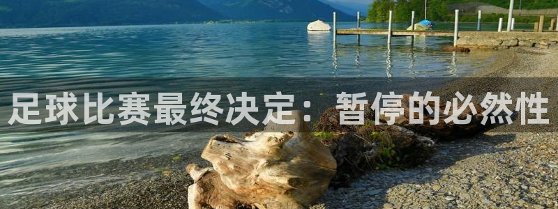  足球比赛最终决定：暂停的必然性