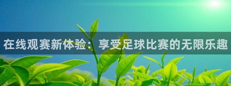 在线观赛新体验：享受足球比赛的无限乐趣
