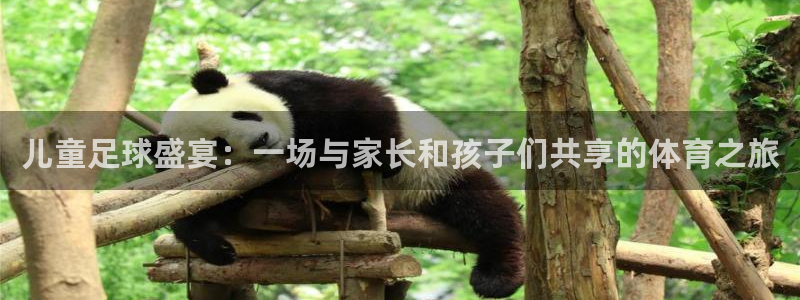 儿童足球盛宴：一场与家长和孩子们共享的体育之旅
