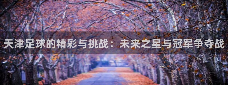 天津足球的精彩与挑战：未来之星与冠军争夺战