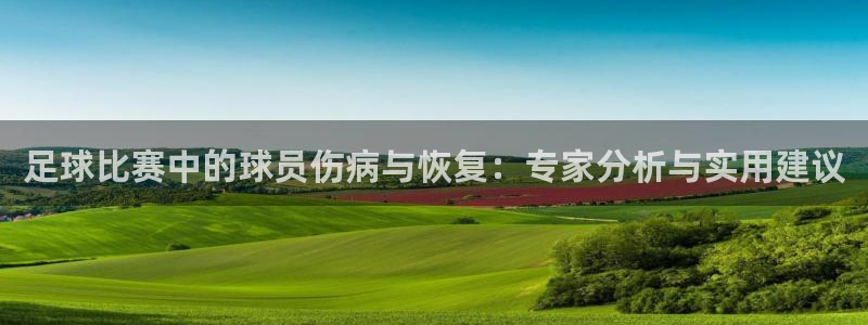 足球比赛中的球员伤病与恢复：专家分析与实用建议