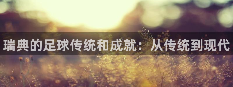 瑞典的足球传统和成就：从传统到现代