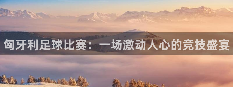 匈牙利足球比赛：一场激动人心的竞技盛宴