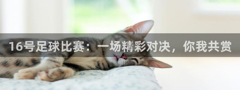  16号足球比赛：一场精彩对决，你我共赏