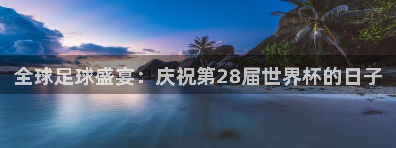 全球足球盛宴：庆祝第28届世界杯的日子