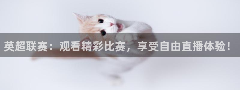 360雨燕足球高清免费直播