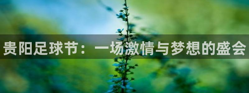 贵阳足球节：一场激情与梦想的盛会