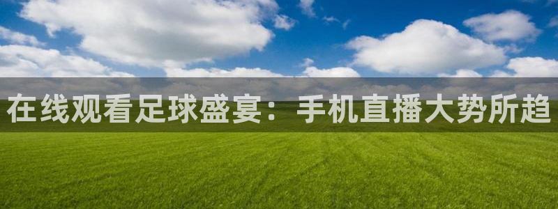  在线观看足球盛宴：手机直播大势所趋