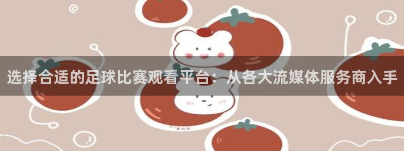 选择合适的足球比赛观看平台：从各大流