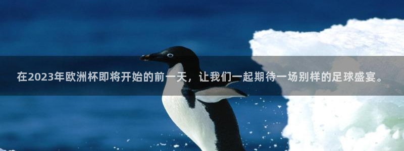 在2023年欧洲杯即将开始的前一天，
