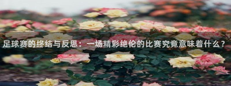 足球赛的终结与反思：一场精彩绝伦的比