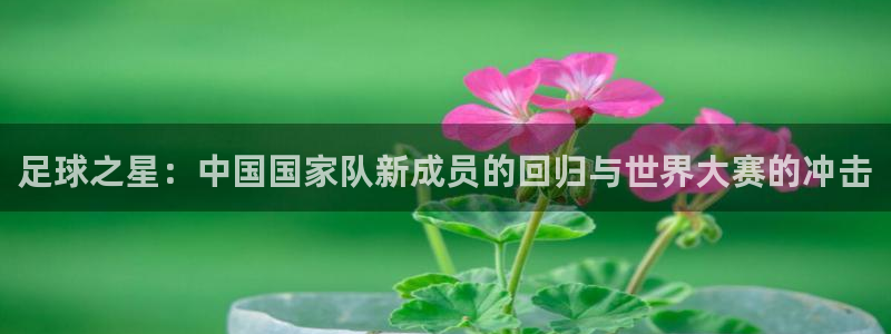 足球之星：中国国家队新成员的回归与世