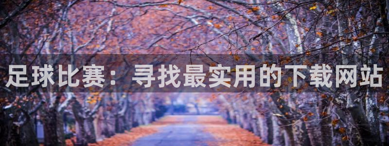  足球比赛：寻找最实用的下载网站