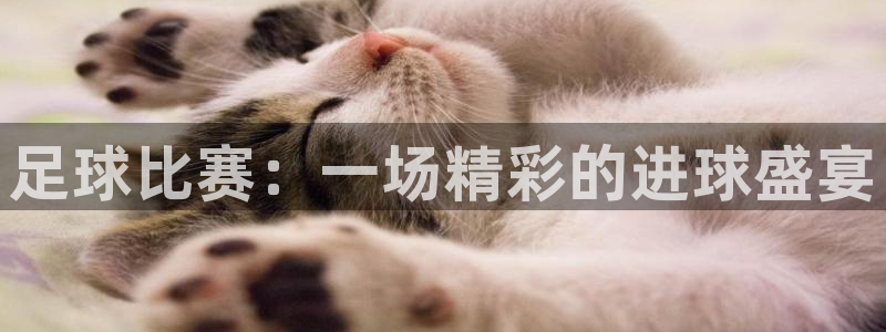足球比赛：一场精彩的进球盛宴