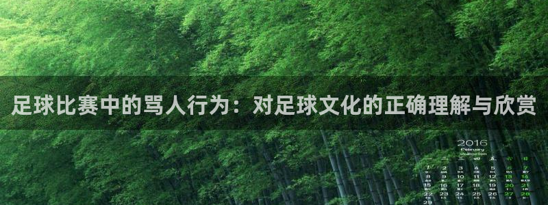 足球比赛中的骂人行为：对足球文化的正确理解与欣赏