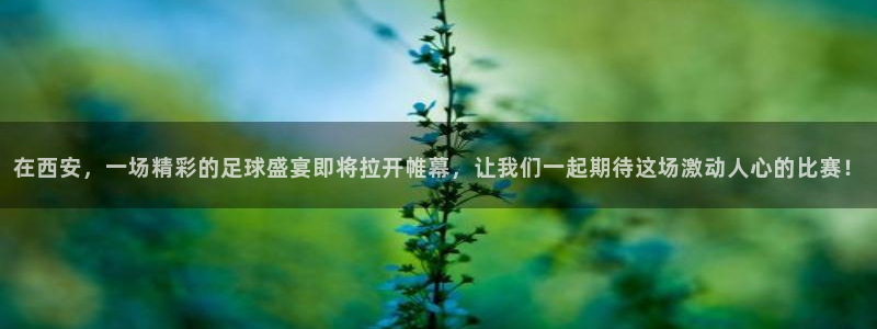 在西安，一场精彩的足球盛宴即将拉开帷