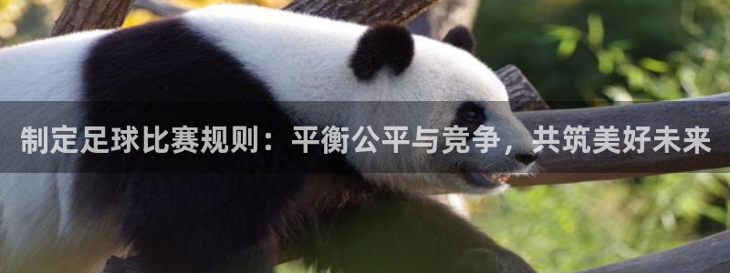 制定足球比赛规则：平衡公平与竞争，共