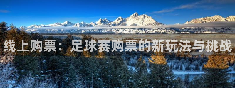 线上购票：足球赛购票的新玩法与挑战