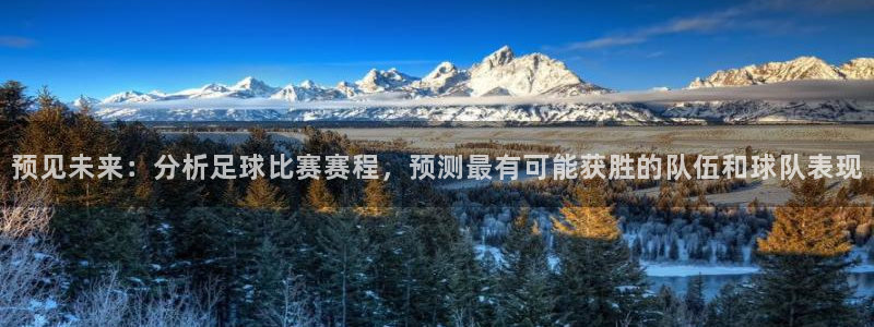 预见未来：分析足球比赛赛程，预测最有可能获胜的队伍和球队表现