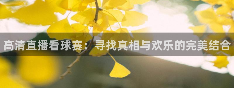 高清直播看球赛：寻找真相与欢乐的完美