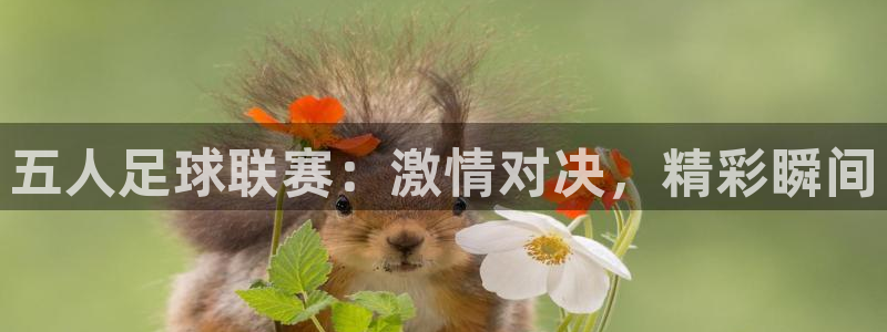 五人足球联赛：激情对决，精彩瞬间