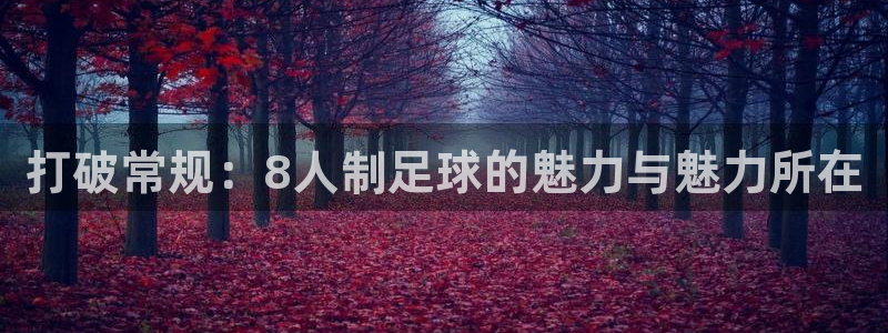 打破常规：8人制足球的魅力与魅力所在