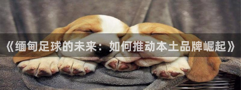 《缅甸足球的未来：如何推动本土品牌崛