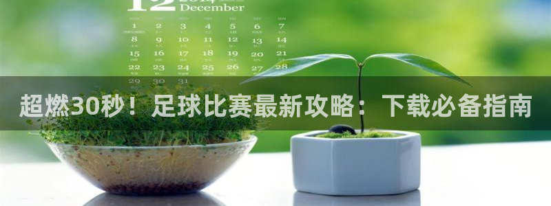 超燃30秒！足球比赛最新攻略：下载必