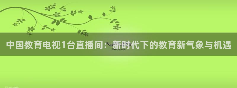 雨燕直播篮球：中国教育电视1台直播间：新时代下的教育新气象与机遇