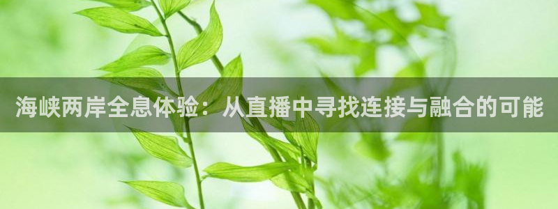 nba在线观看直播免费雨燕：海峡两岸全息体验：从直播中寻找连接与融合的可能