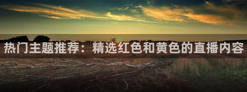 雨燕直播 体育：热门主题推荐：精选红色和黄色的直播内容