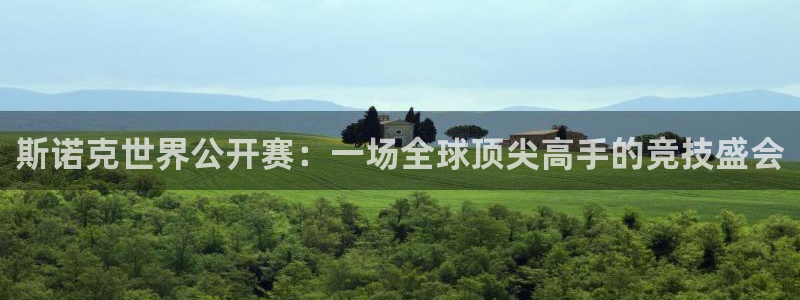 雨燕直播体育网官网：斯诺克世界公开赛：一场全球顶尖高手的竞技盛会