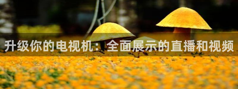 雨燕360免费体育直播：升级你的电视机：全面展示的直播和视频